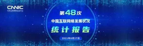 CNNIC發布第48次《中國互聯網絡發展狀況統計報告》.jpg